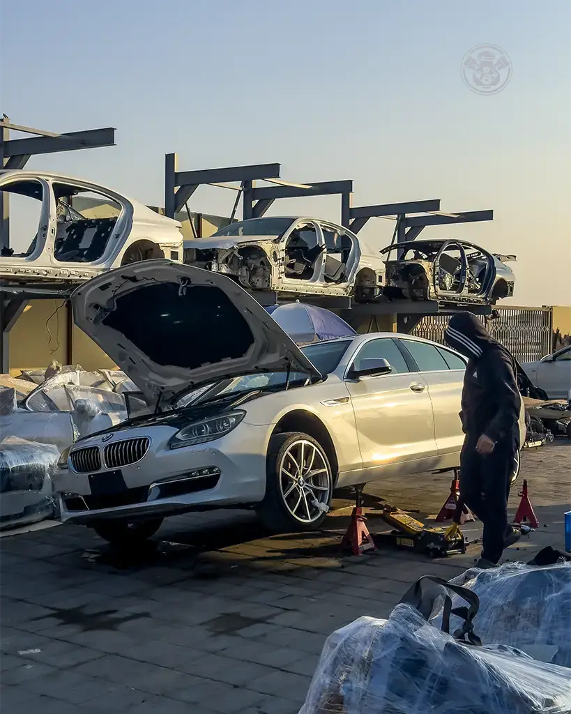 IMG_5041 copy-1 copy 2