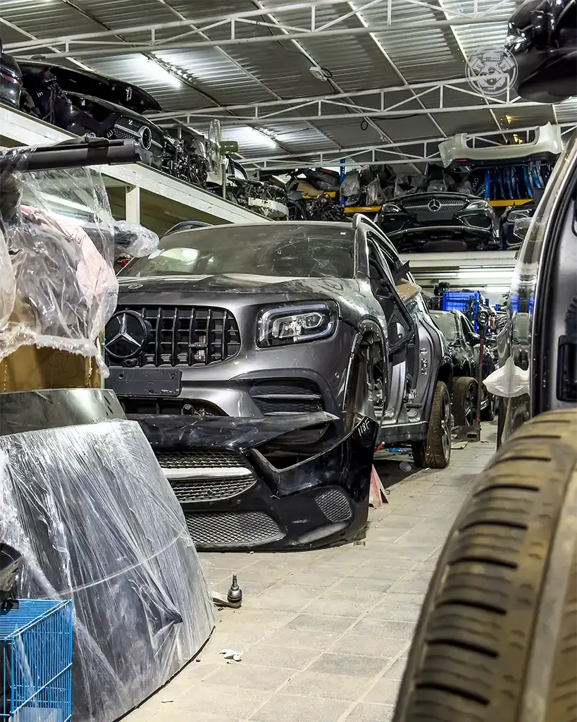 IMG_8132 copy-1 copy 2