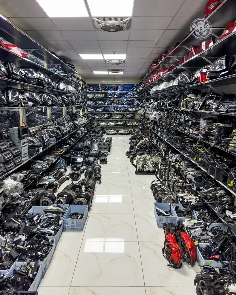 IMG_8144 copy-1 copy 2