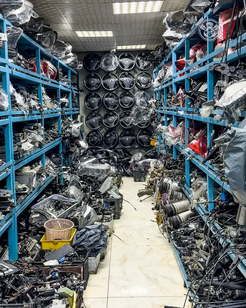 IMG_8156 copy-1 copy 2