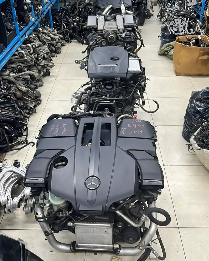 IMG-20230829-WA0011-1 copy