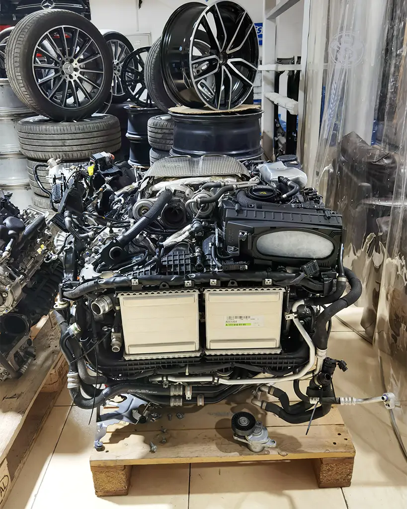 IMG_20221008_194807-1 copy