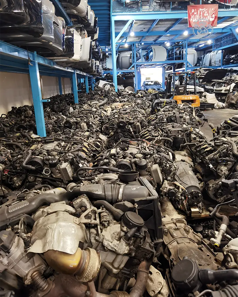 IMG_20221009_124356-1 copy