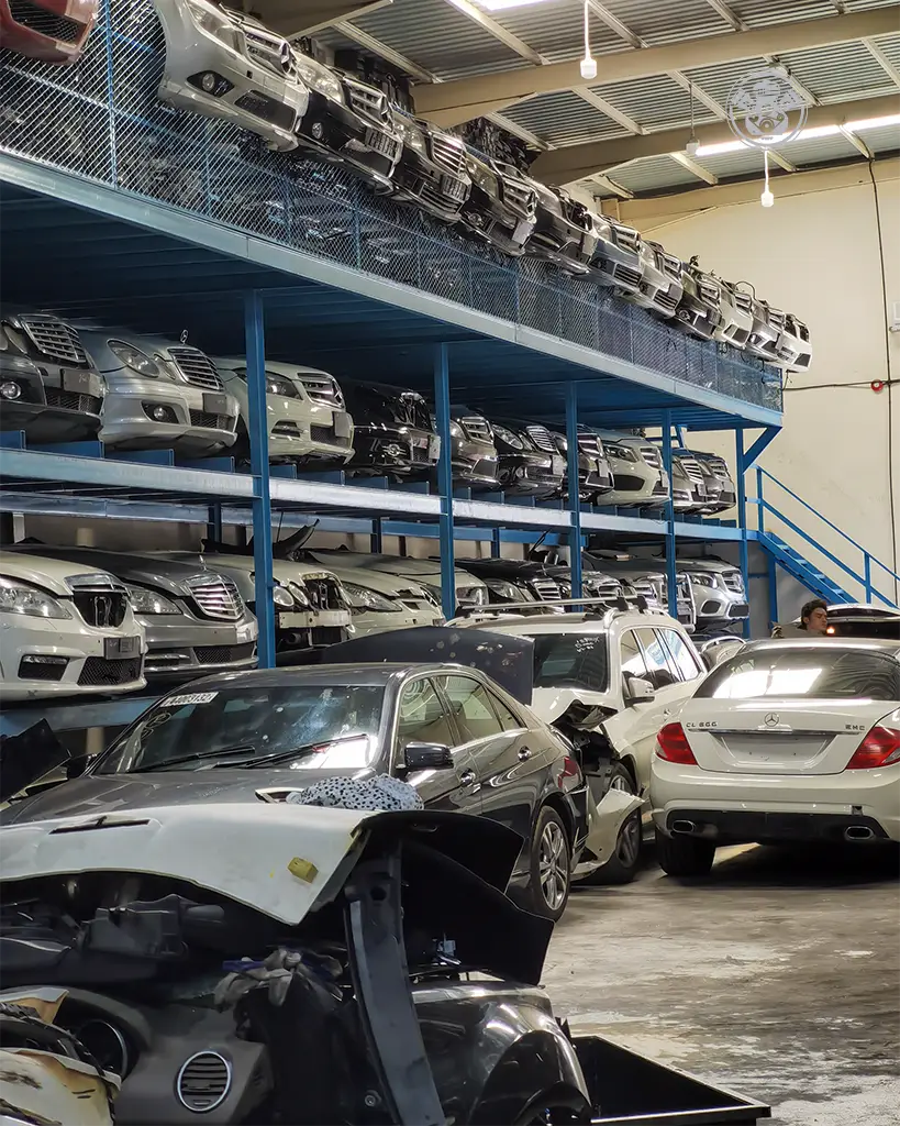 IMG_20221009_124724-1 copy