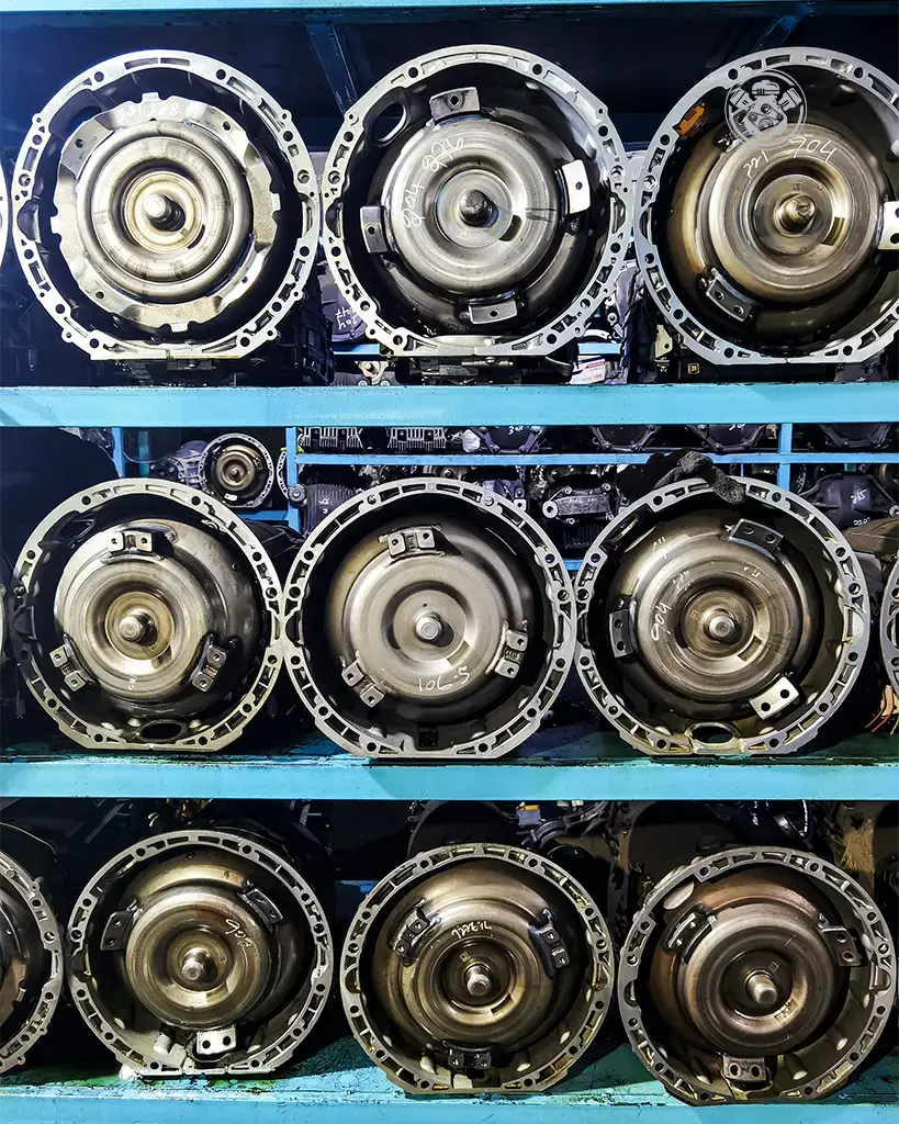 IMG_20221009_175026 copy-1 copy 2