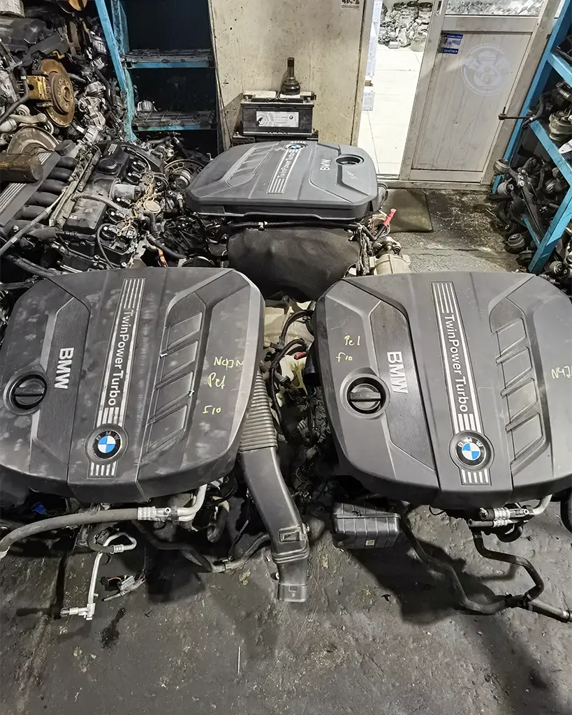 IMG_20221009_180225-1 copy