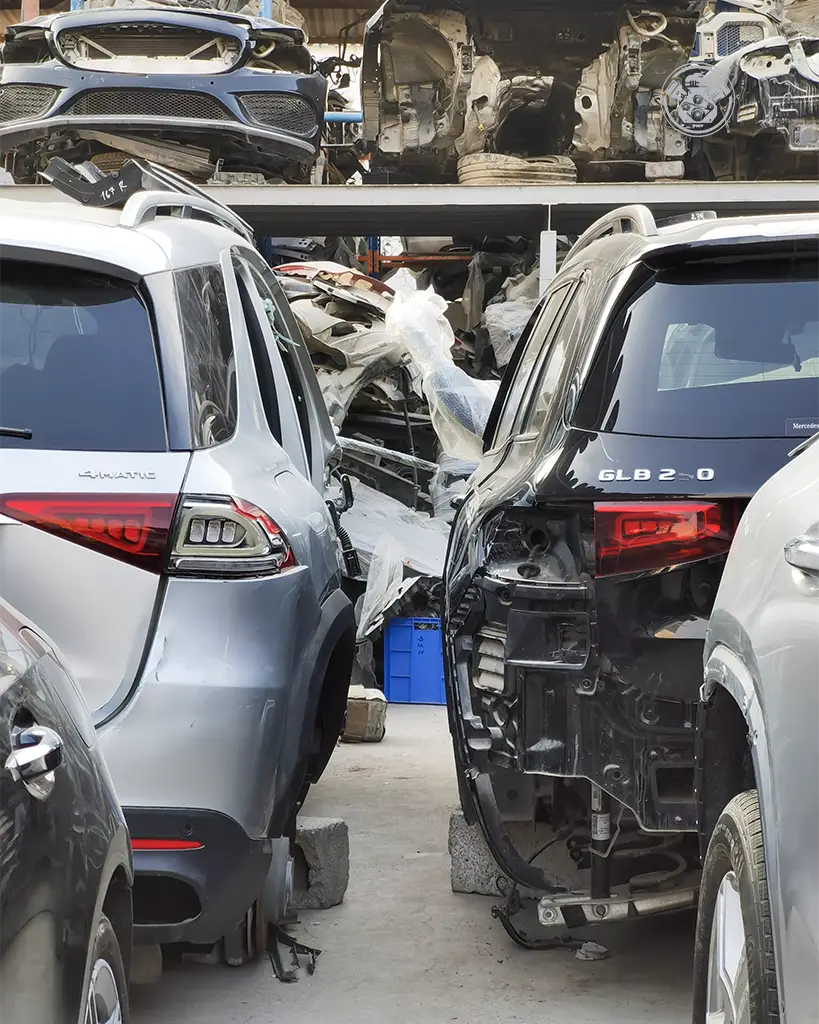 IMG_20221011_165709-1 copy