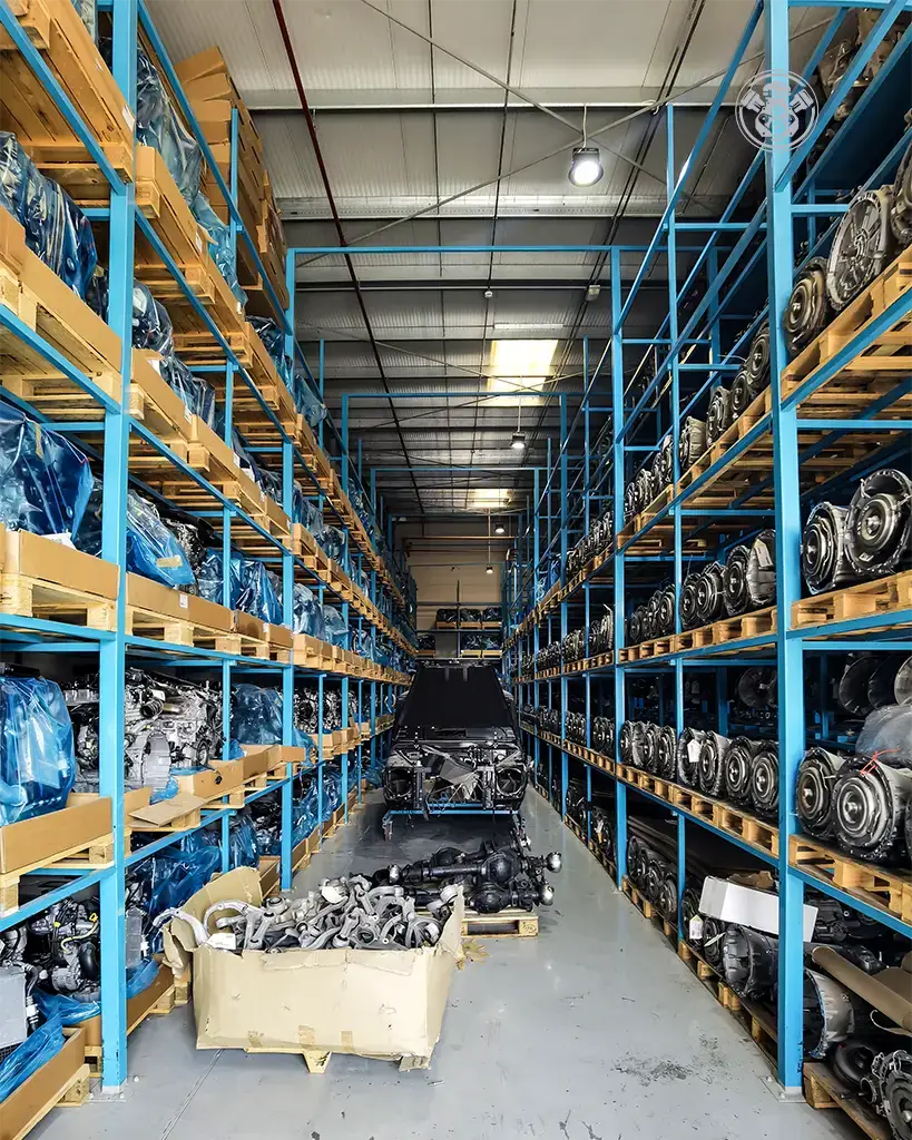 IMG_20231014_110441 copy-1 copy 2