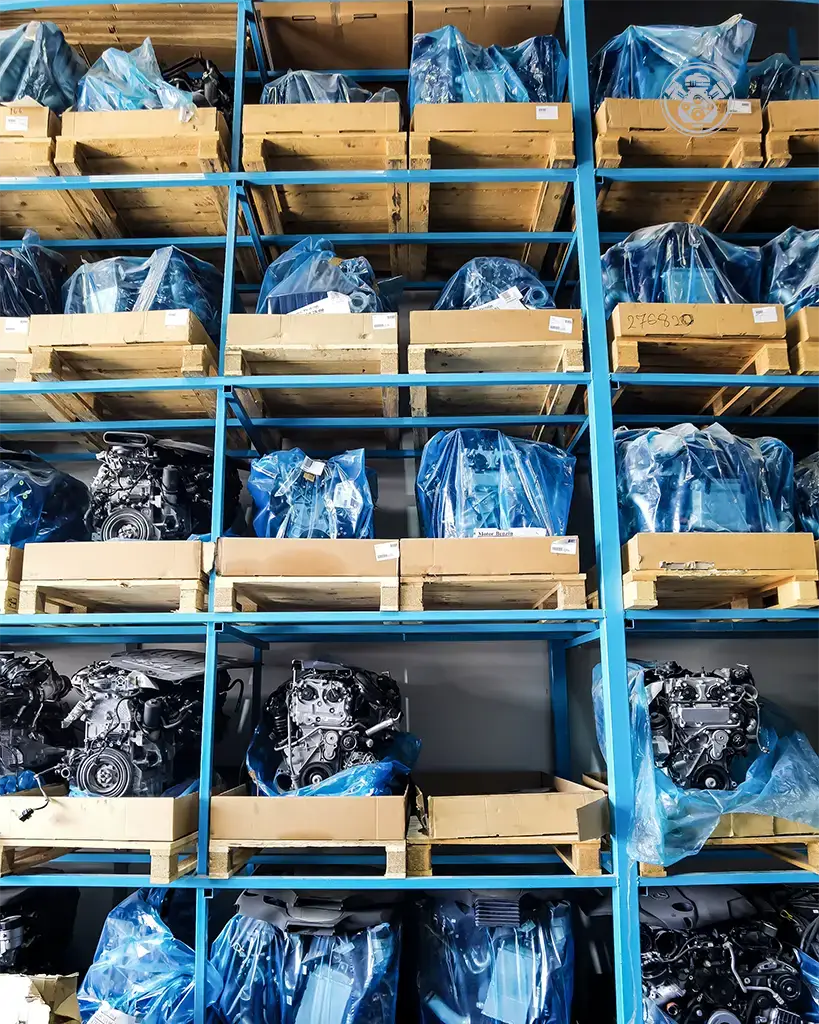 IMG_20231014_110626 copy-1 copy 2